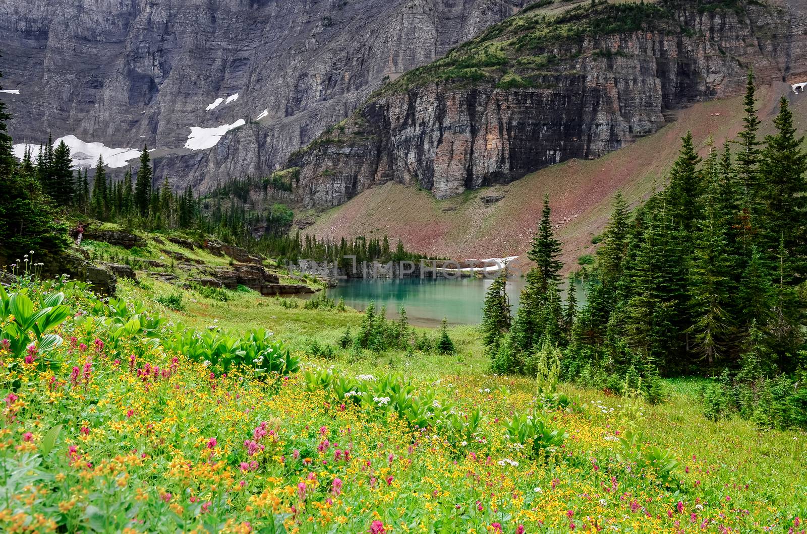 Lanscape view of alpine meadow, mountains and lake in Glacier NP, Montana, USA