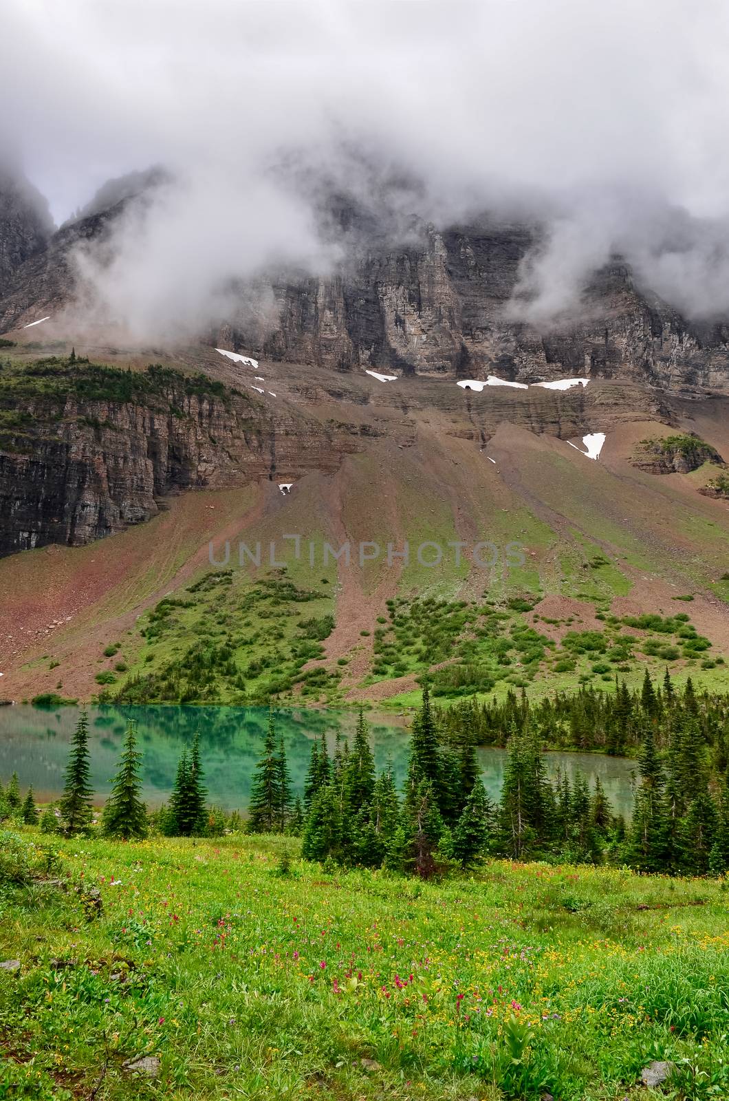 Scenic view of alpine meadow and mountain lake in Glacier NP, Montana, USA