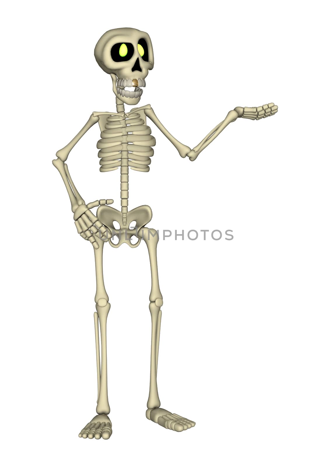 3D digital render of a cartoon human skeleton isolated on white background