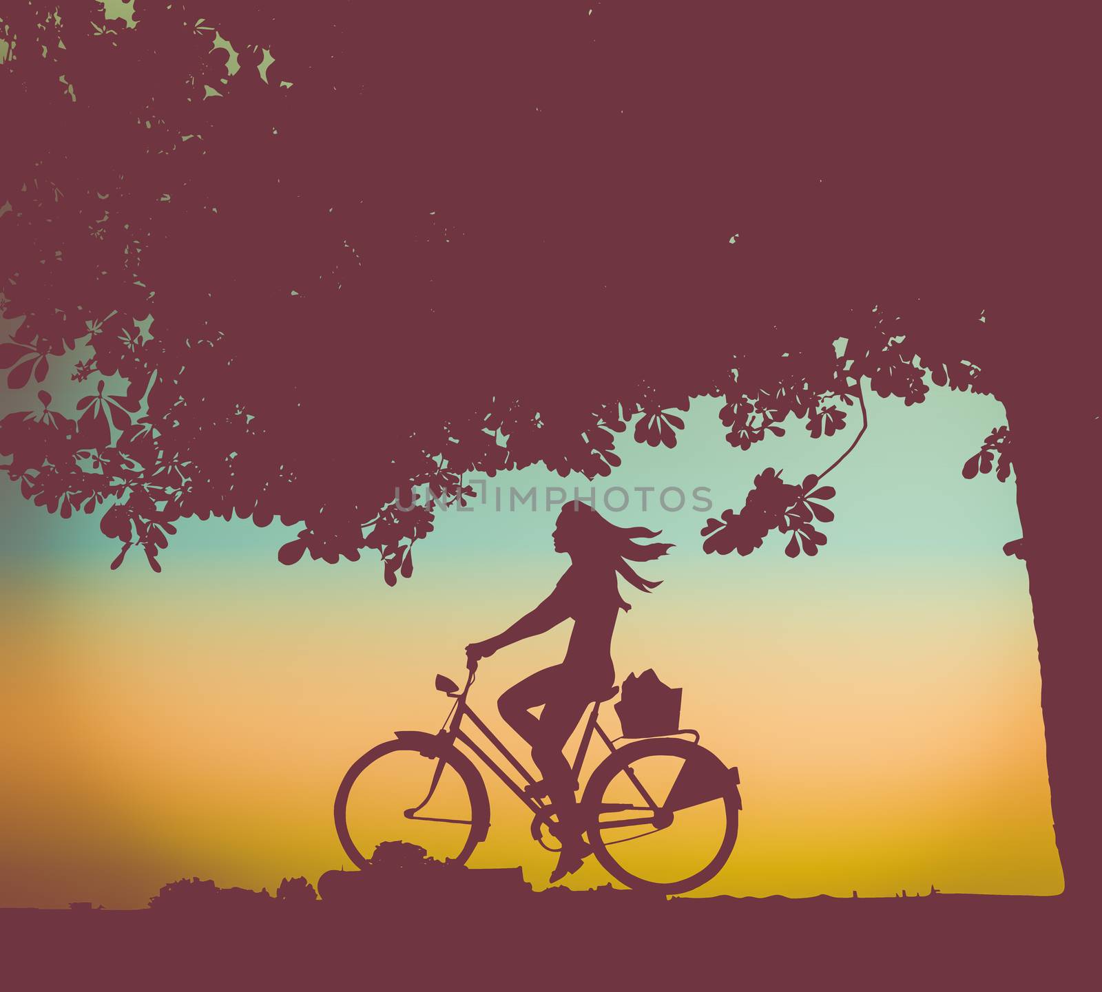 Retro Style Illustration Of A Girl Or Woman Riding A Bike Under A Tree At Sunset