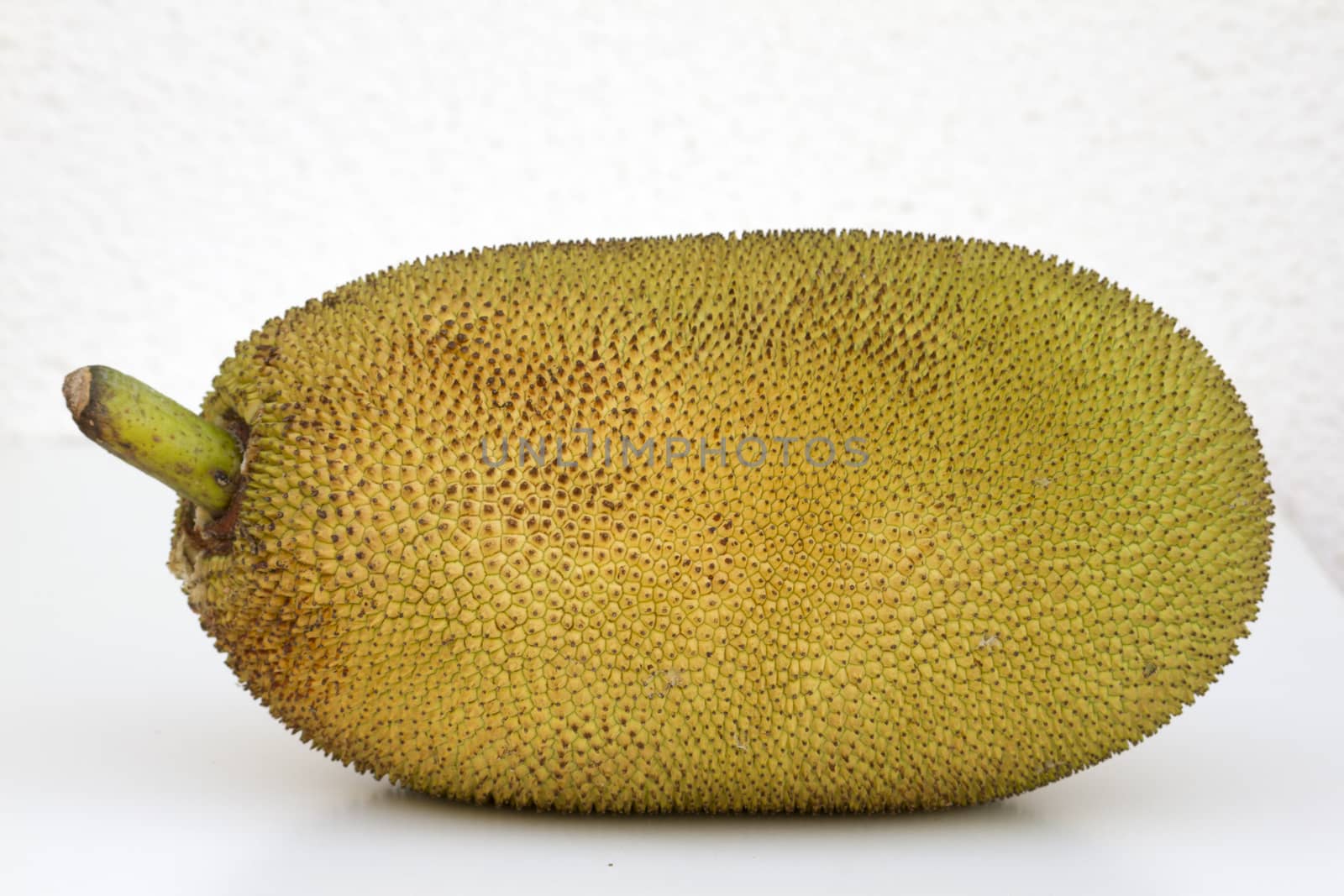 Large ripe jackfruit. India Goa. by mcherevan