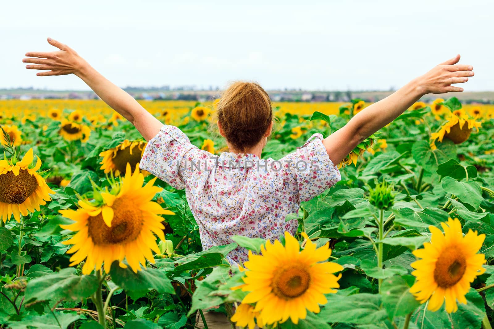 Woman in the sunflower field