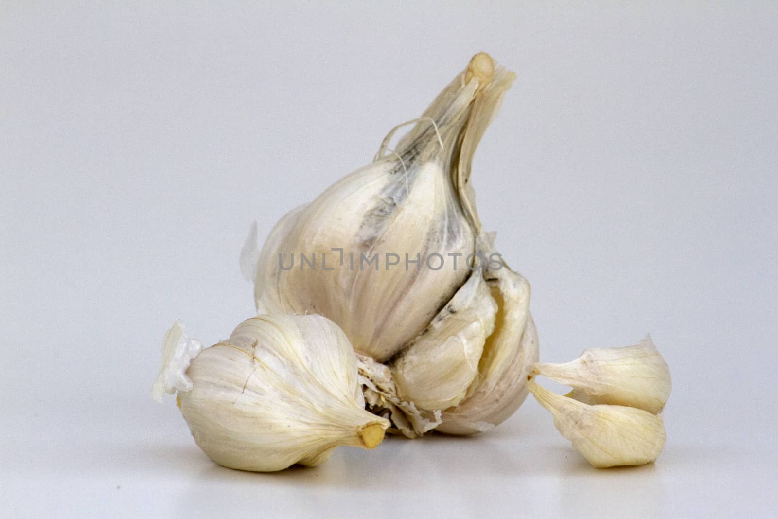 Ripe juicy garlic on the  background.