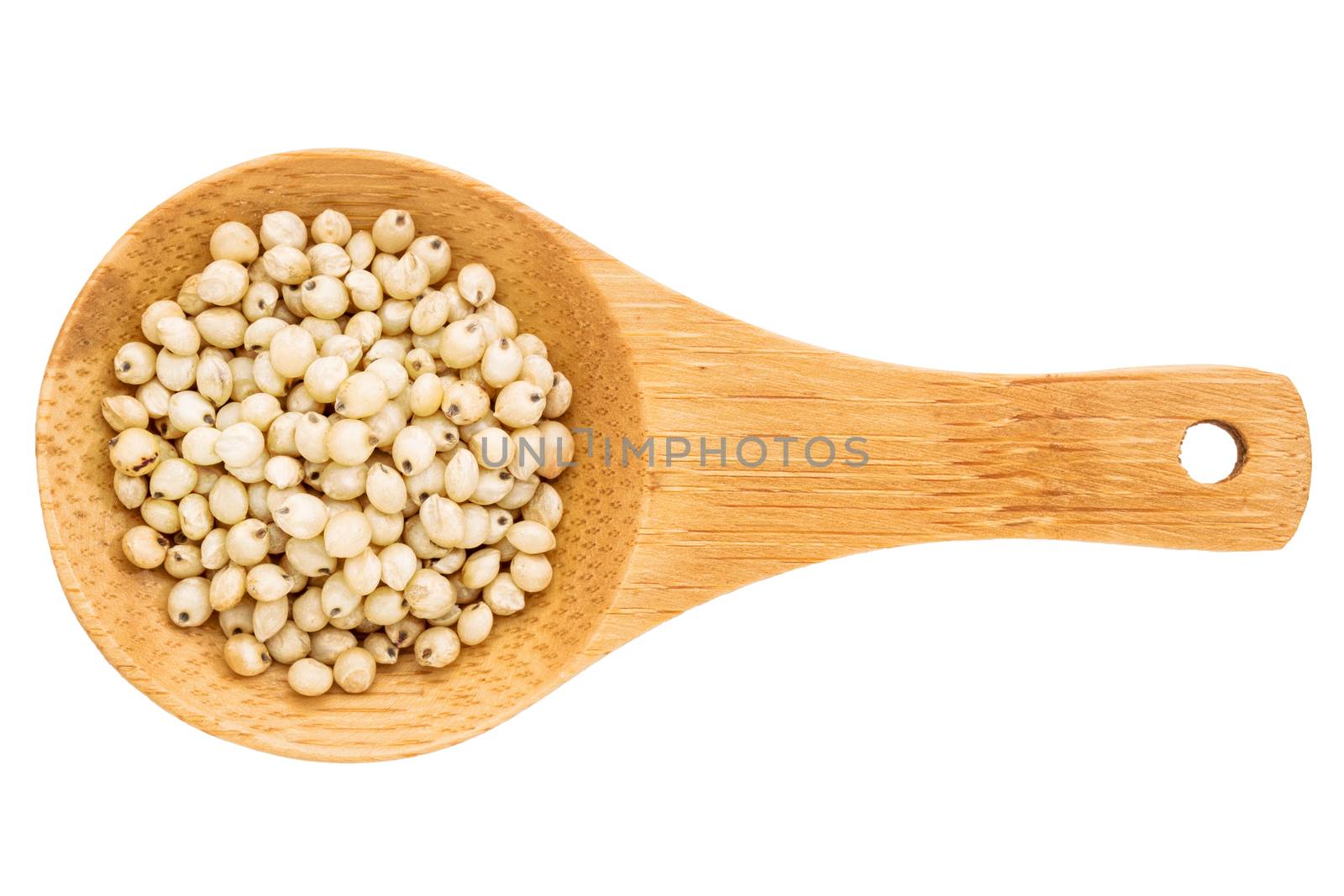 sorghum grain on wooden spoon by PixelsAway