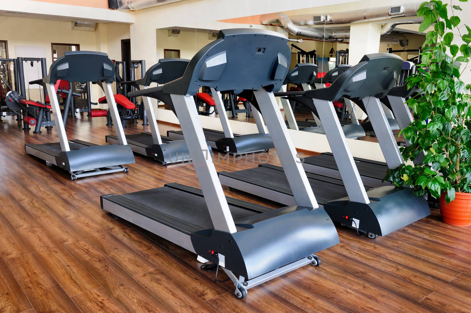 Set of treadmills staying in line in the gym