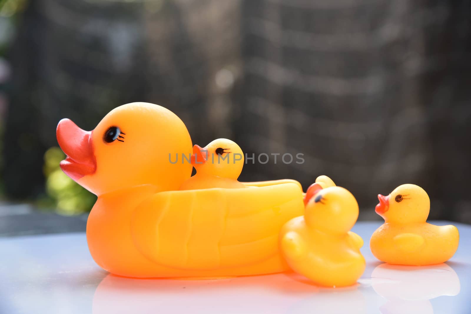 Yellow rubber duck