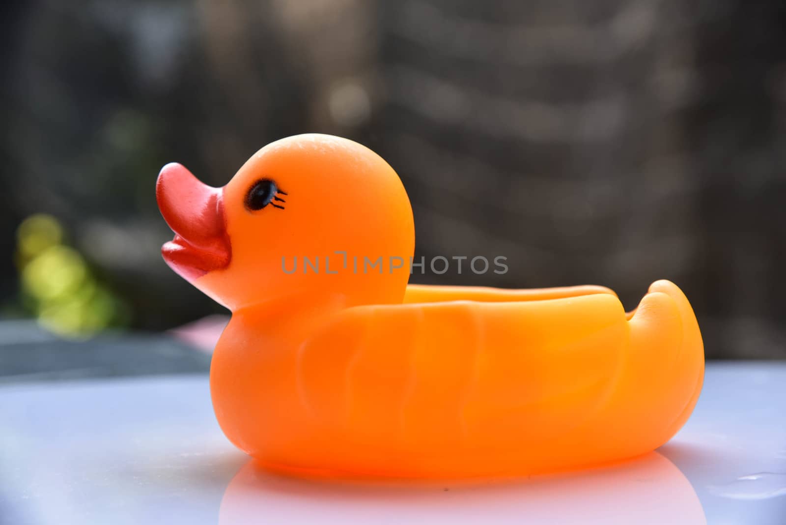 Yellow rubber duck