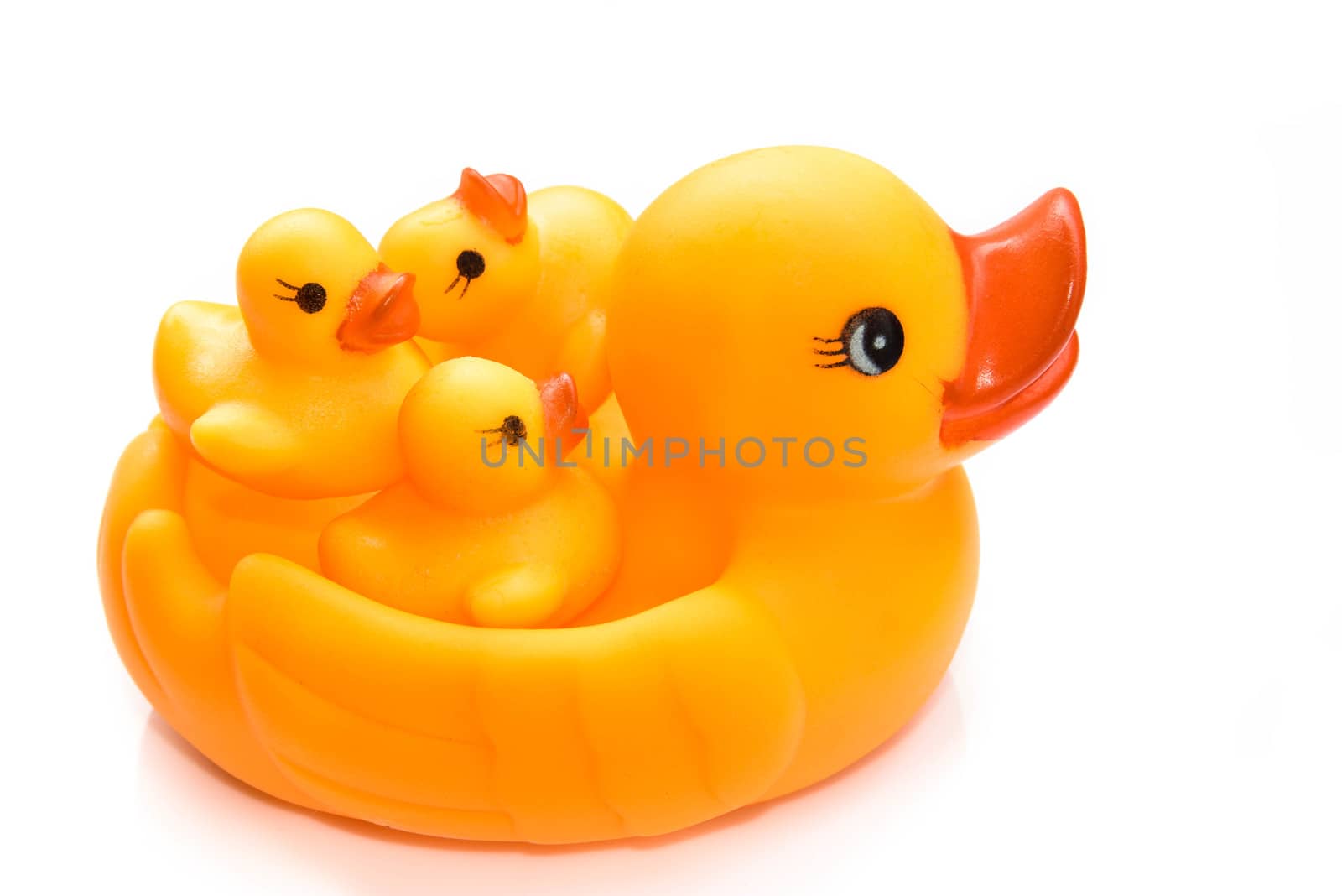 Yellow rubber duck on White Background