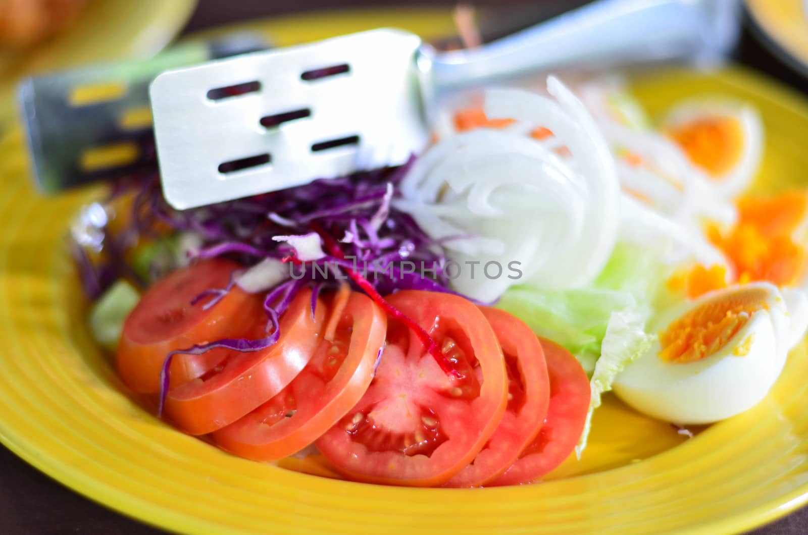 Fresh tomatoes with vegetable and egg salad