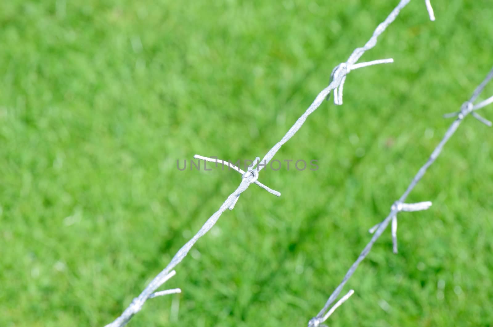 Army barbed wire
