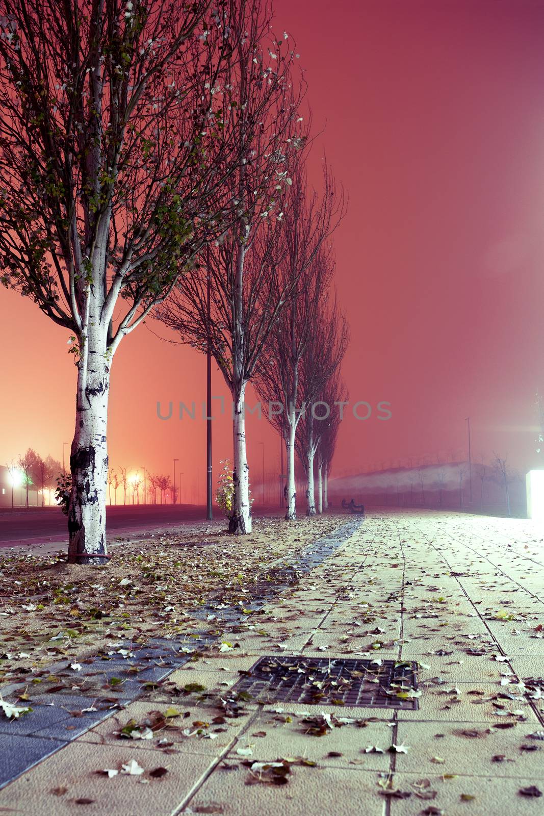 City street at night. Winter image.Foggy sidewalk at night