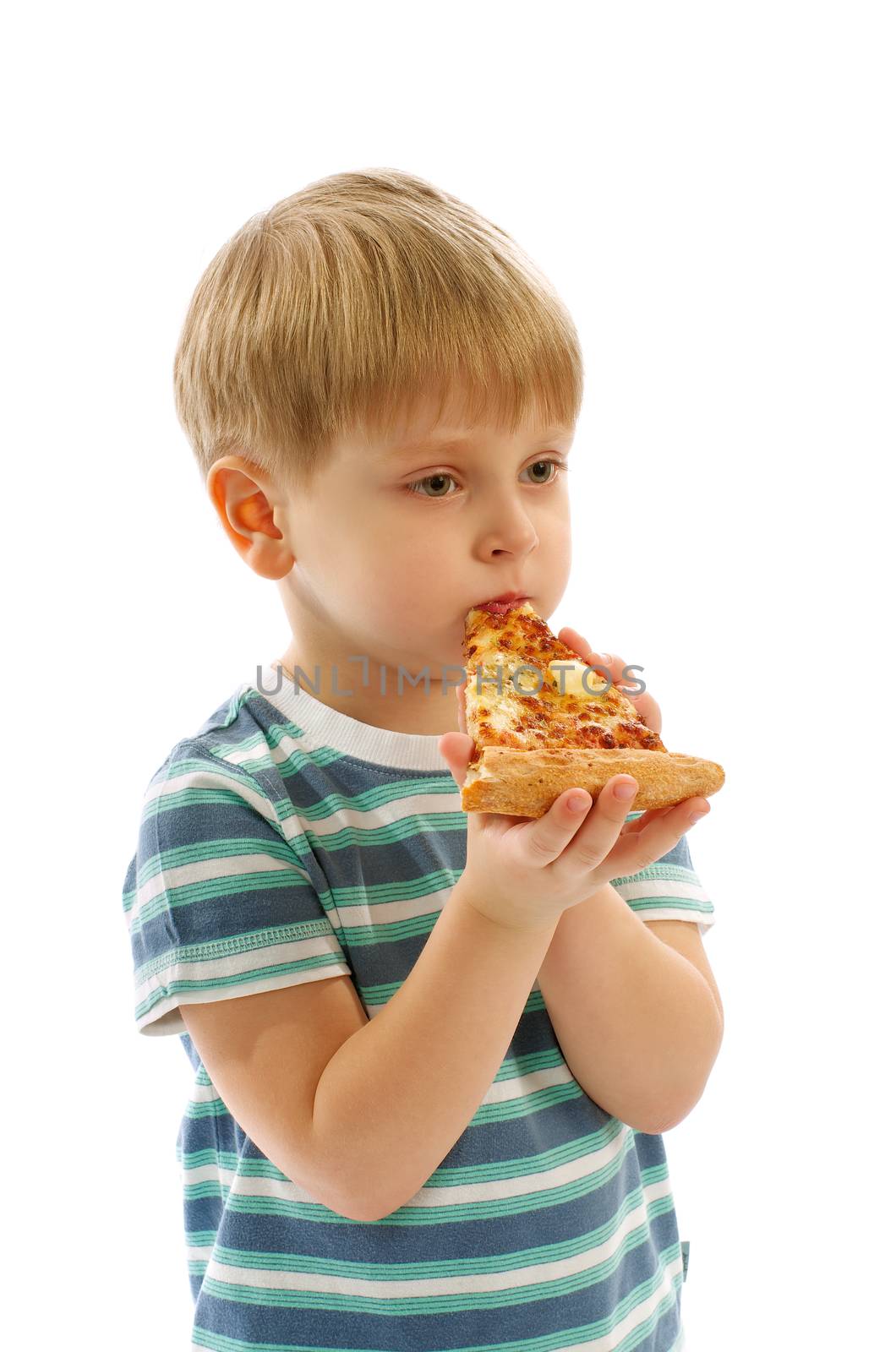 Cute Little Boy in Striped T-Short Eating Slice of Cheese Pizza isolated on white background