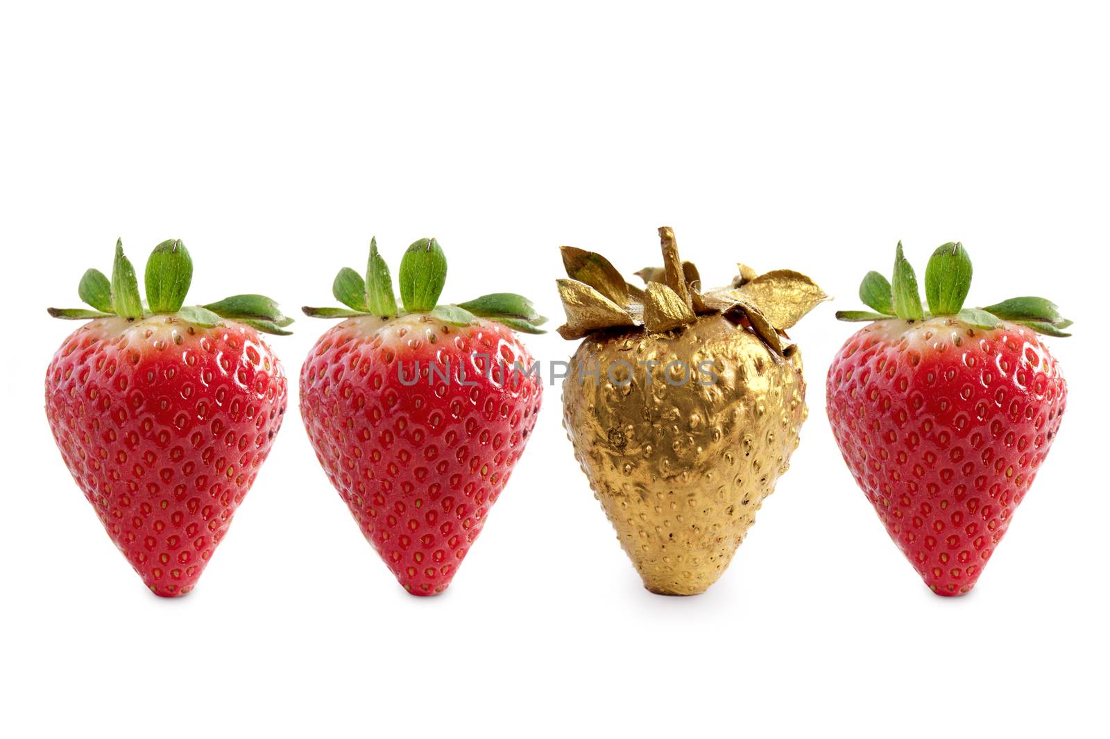 Gold strawberry standing out amongst a row of red berries