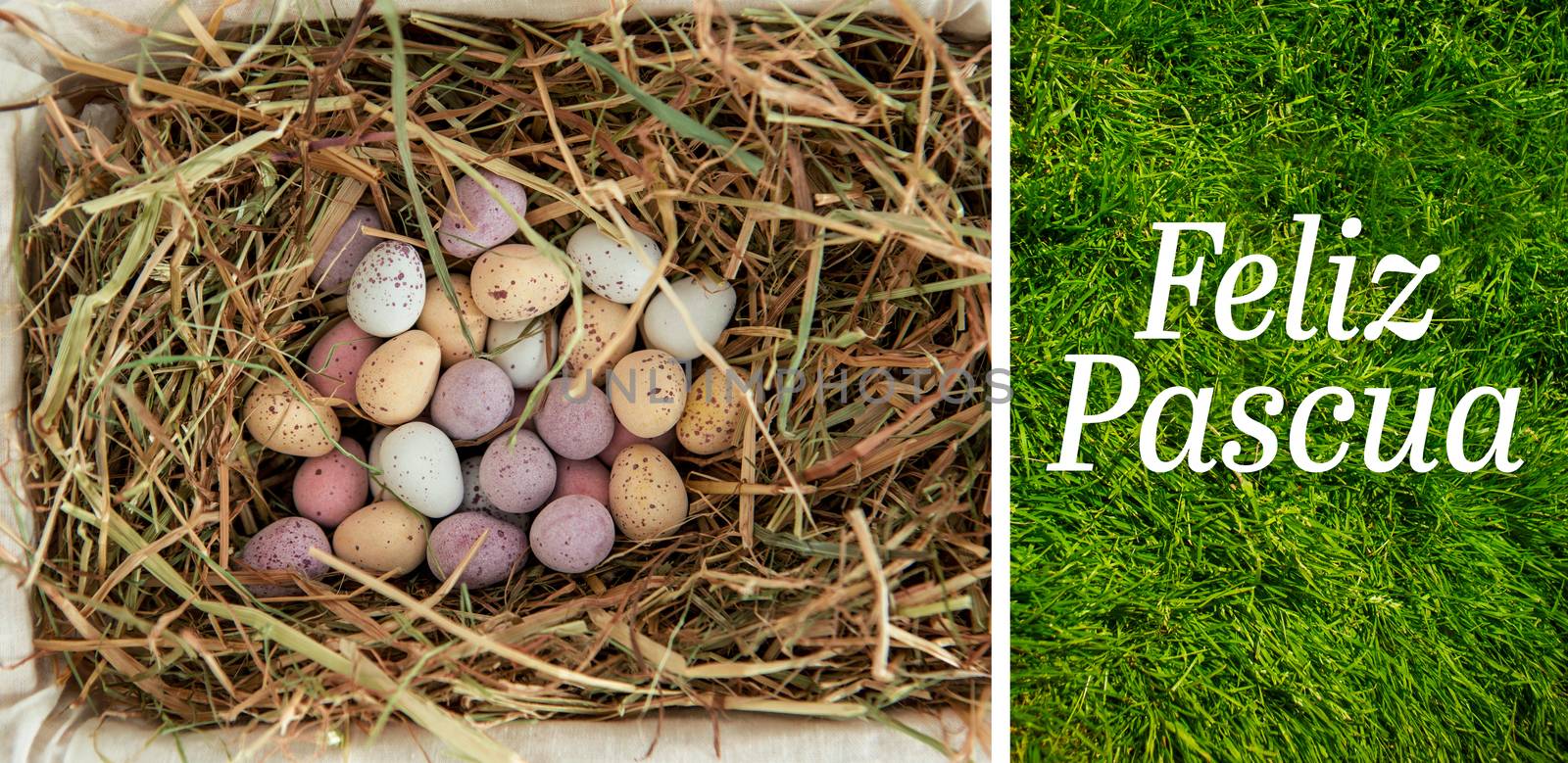 Feliz pascua against grass background