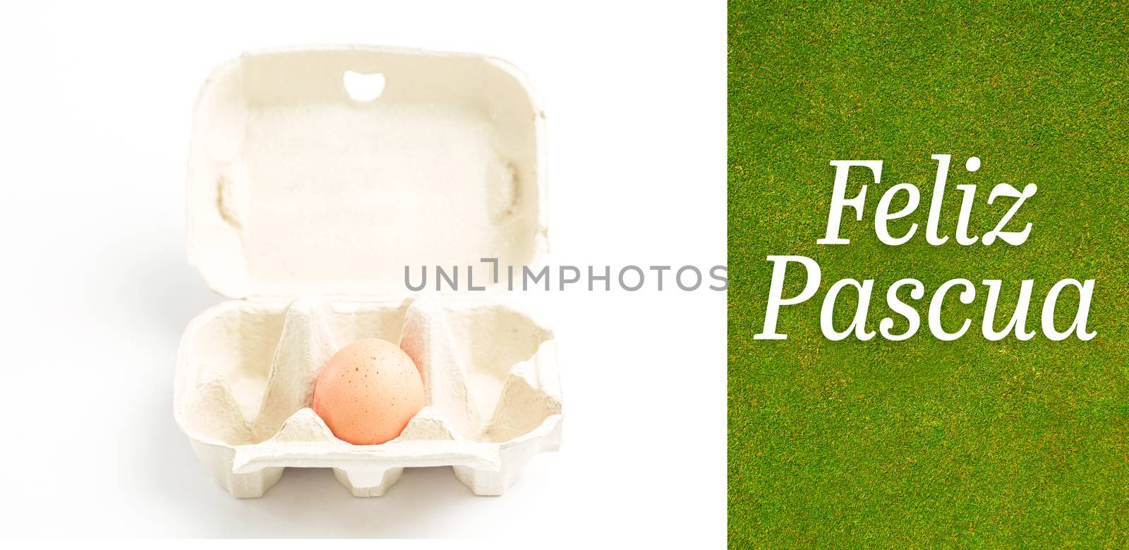 Feliz pascua against green background