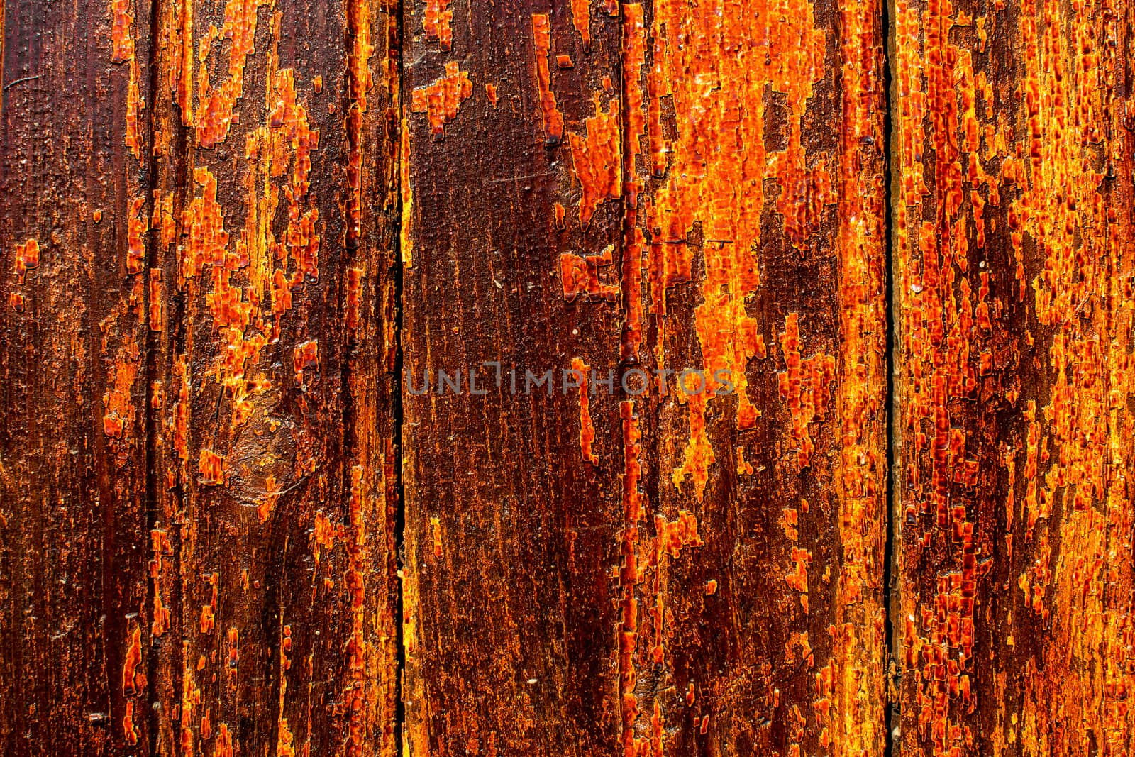 Yellow orange shrivelled wood  texture.