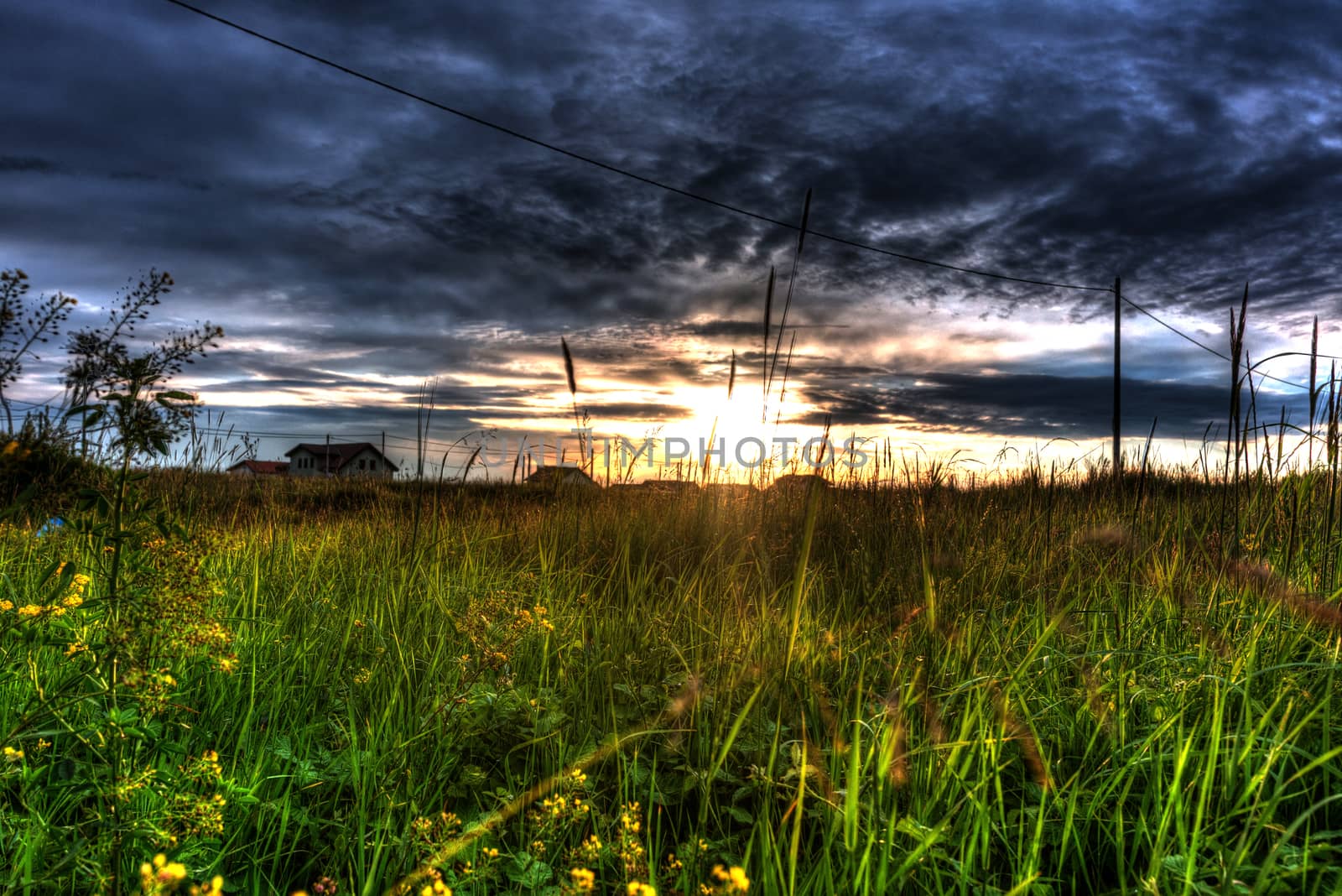 Sunset with dark clouds, orange sky and green grass.