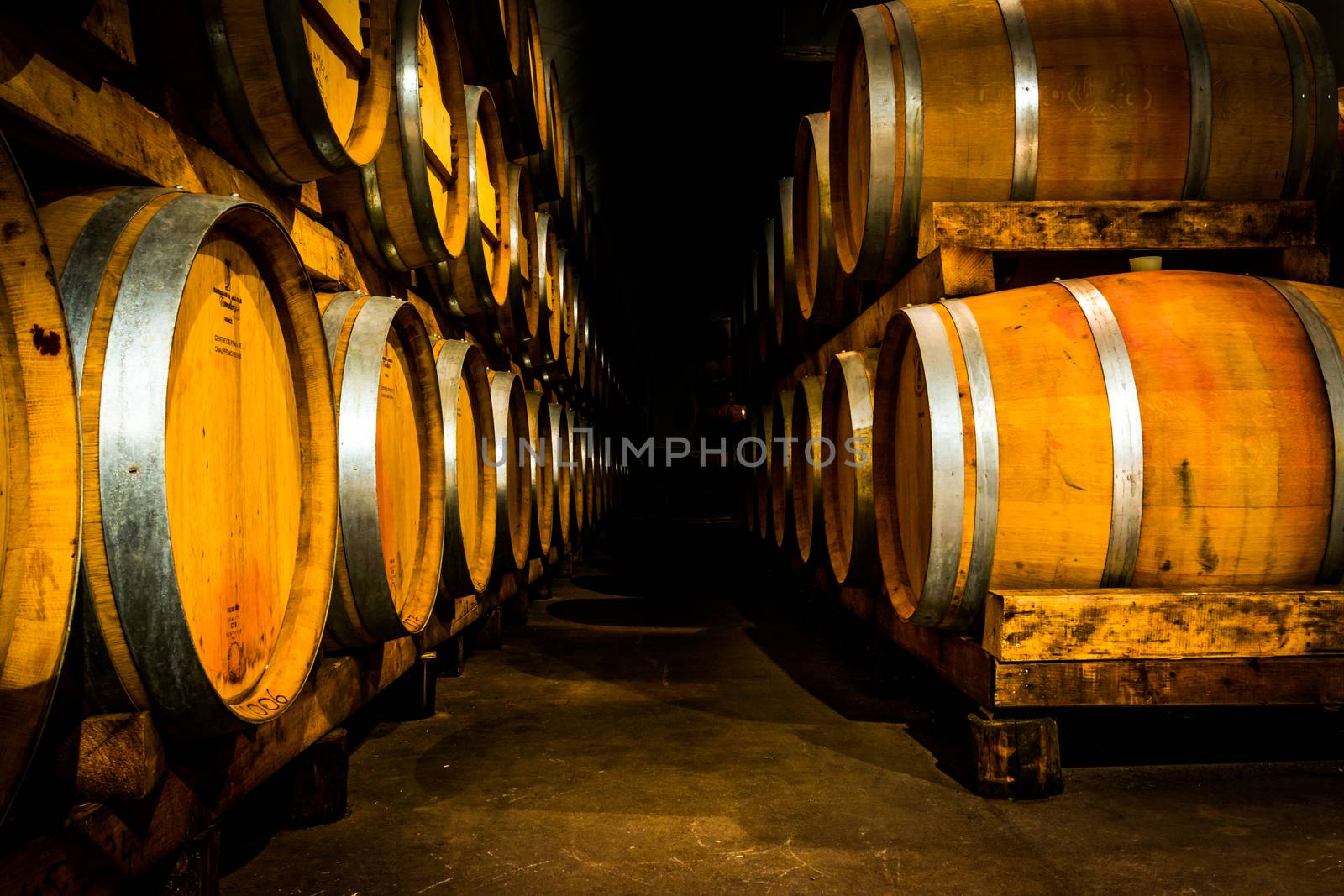Yellow wine barrels in the cellar.
