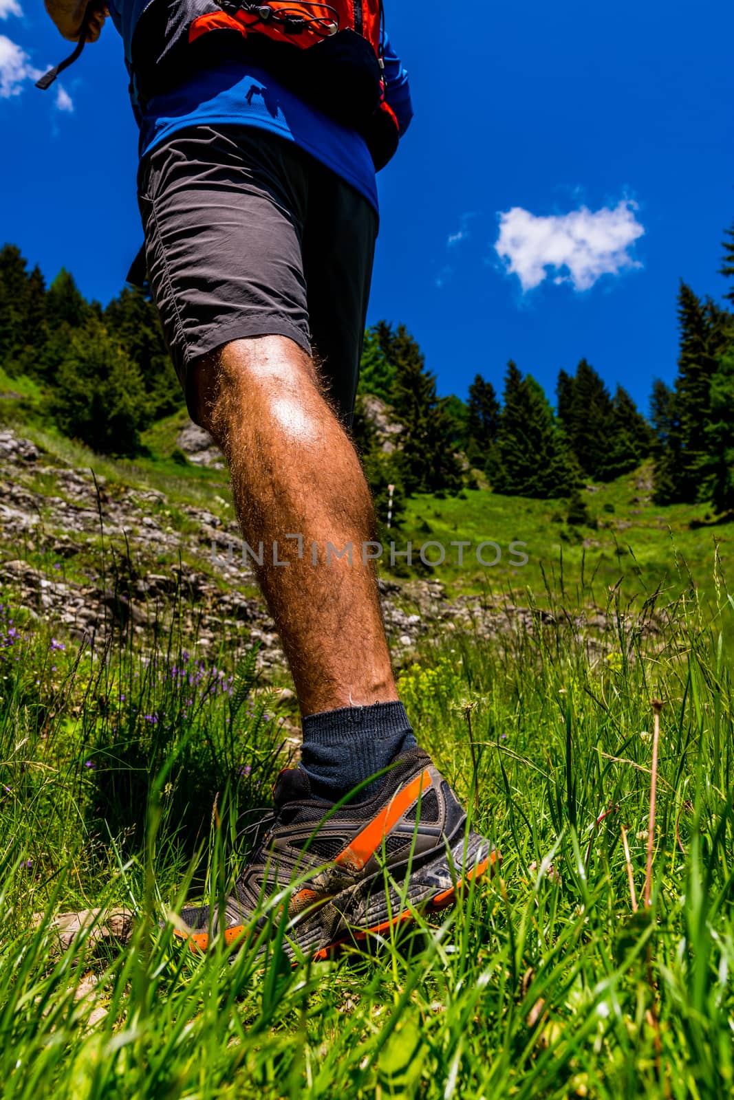 Hiker on mountain, green grass and blue sky.