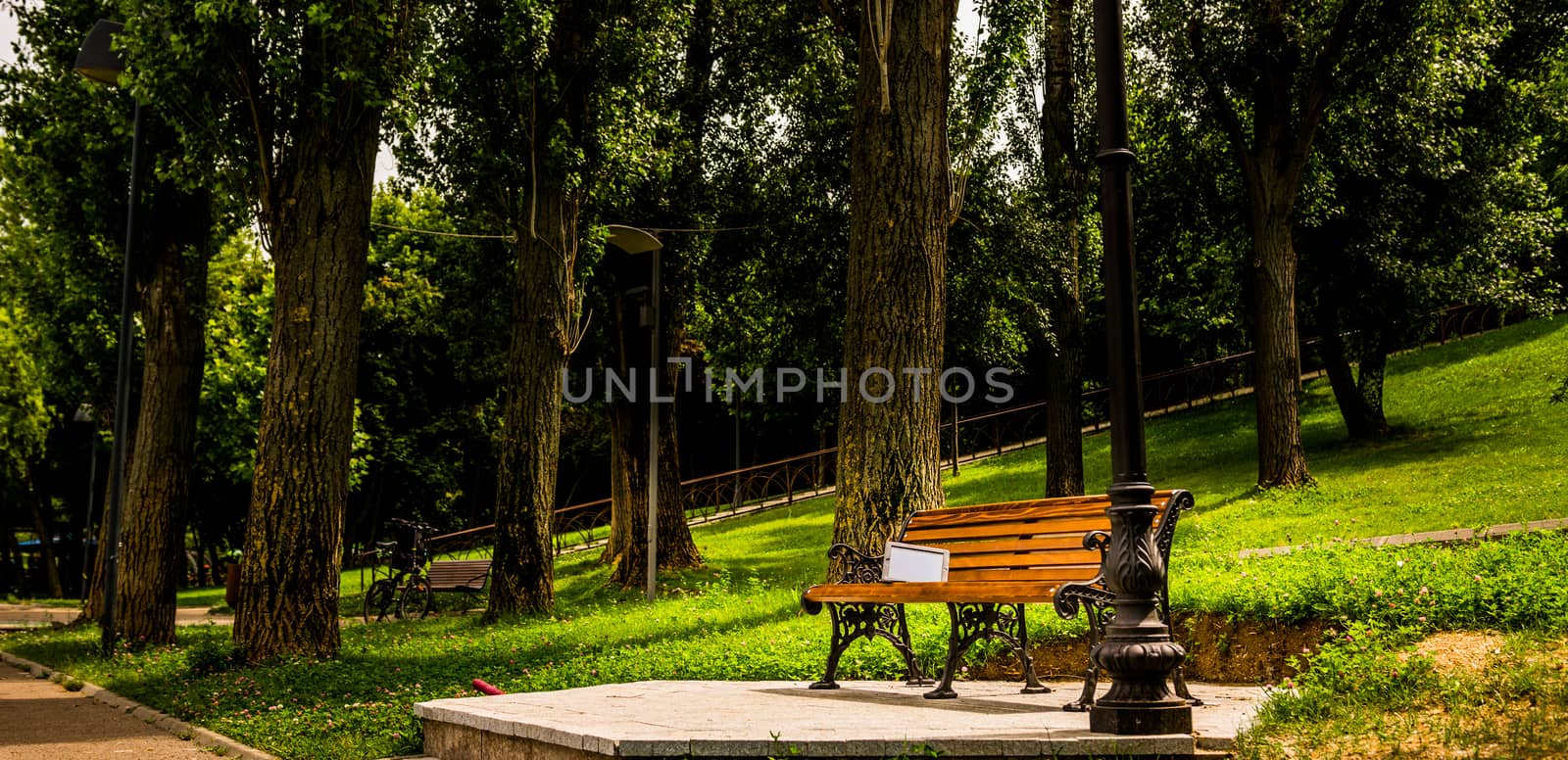 Bench in park with trees and green grass.