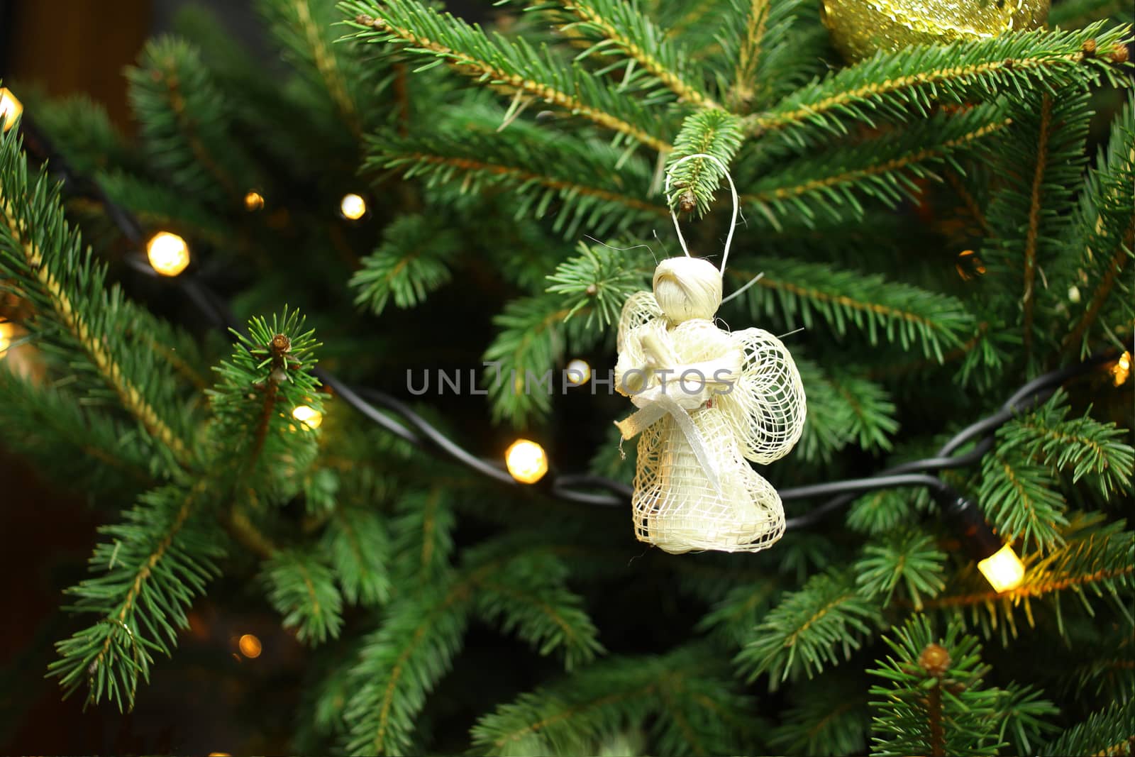 Christmas angel on christmas tree branch, lights hanging in a tree 