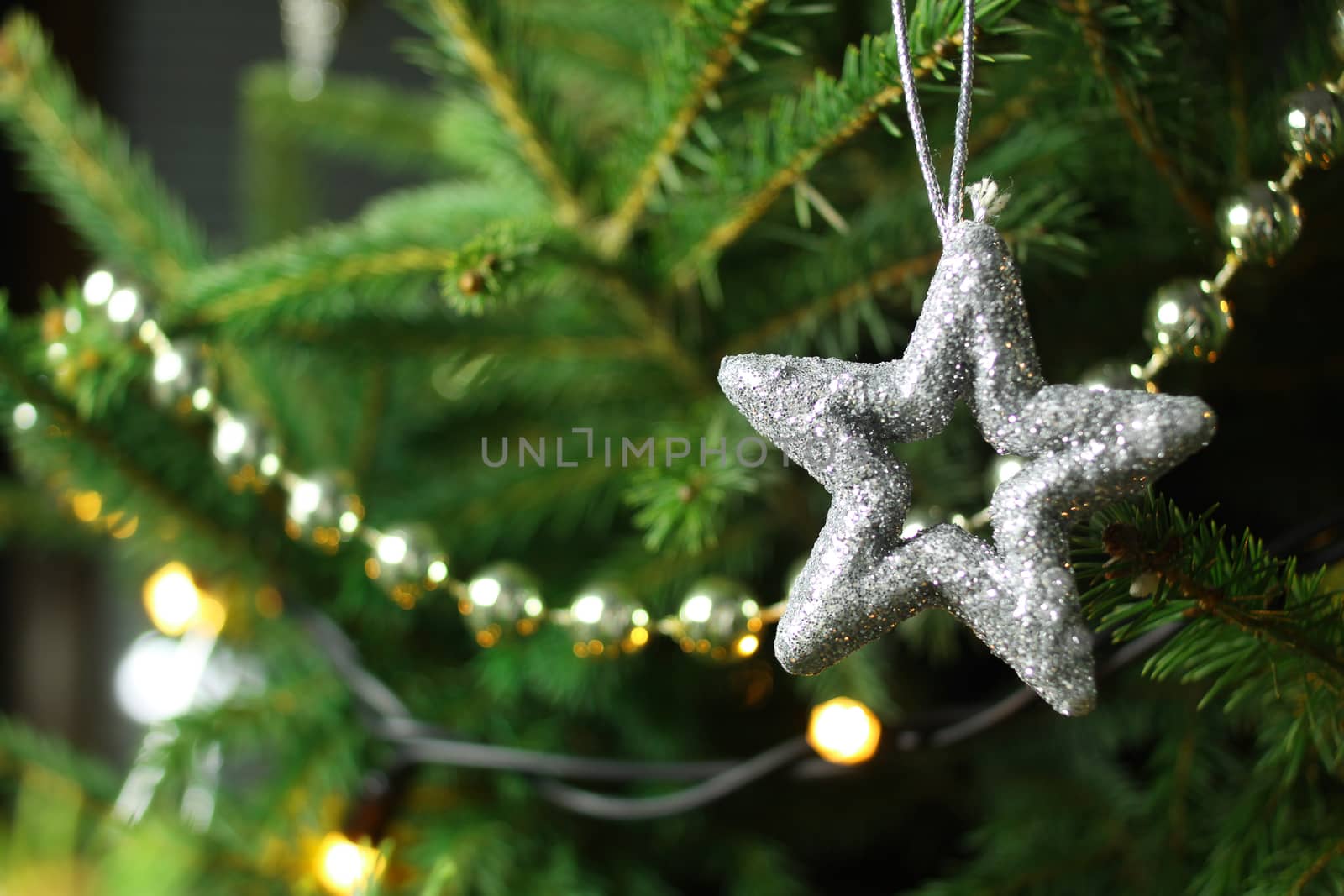 Christmas, silver star on christmas tree branch, lights hanging in a tree 