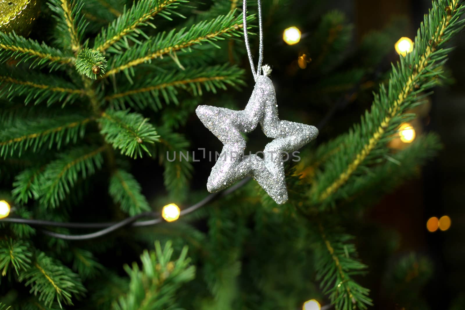 Christmas, silver star on christmas tree branch, lights hanging in a tree 