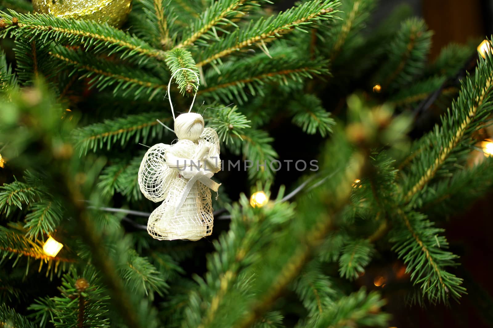 Christmas angel on christmas tree branch, lights hanging in a tree 