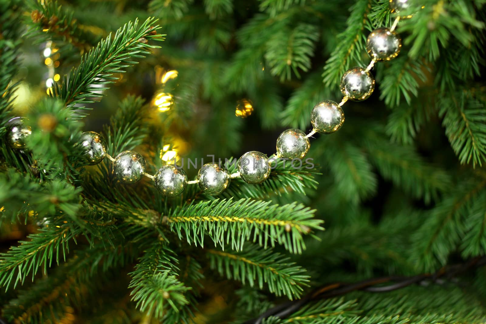 Christmas silver beads hanging in a christmas tree  by Barbraford