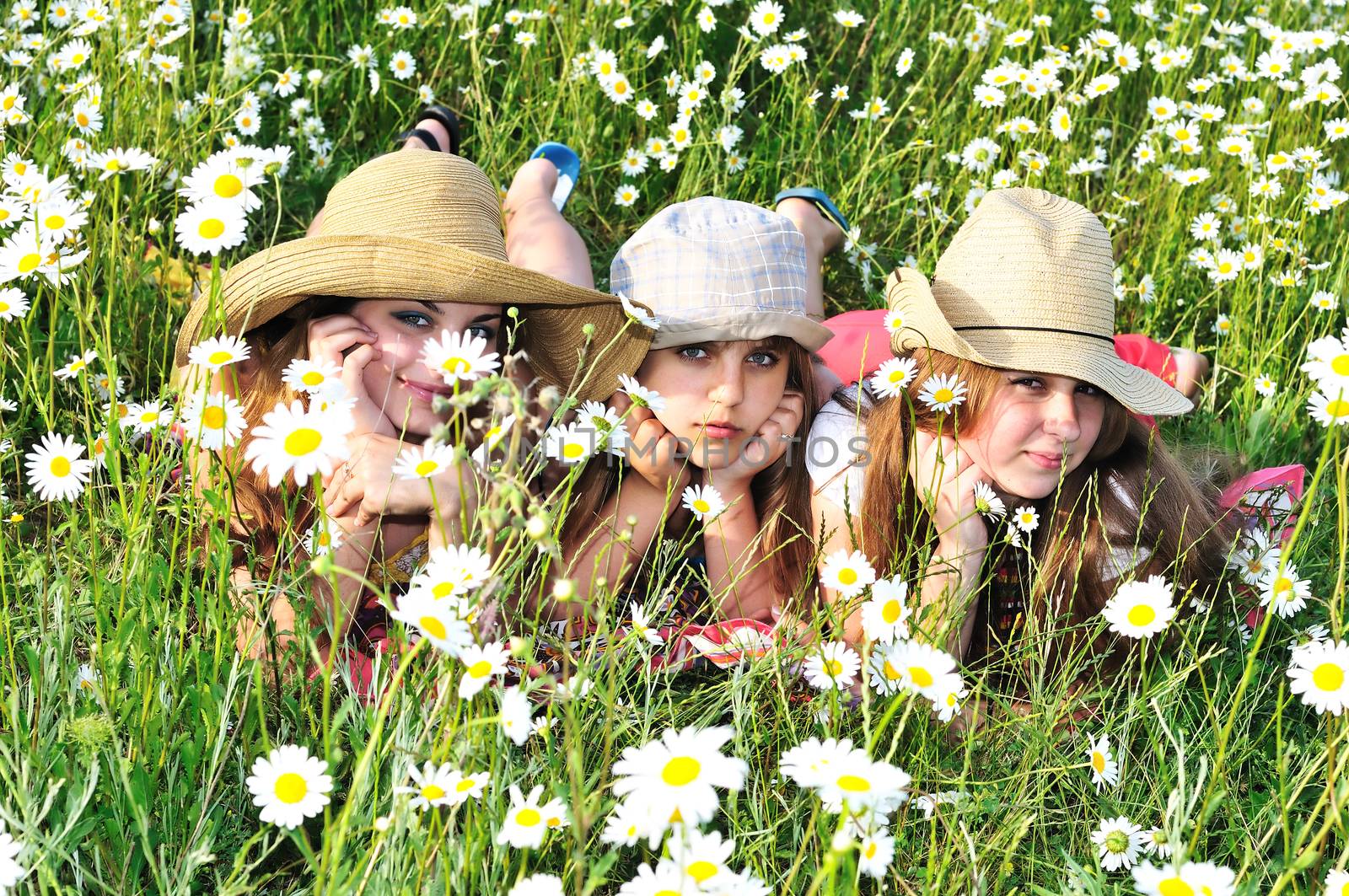 threee teen girl wearing hat laying on the daisy field
