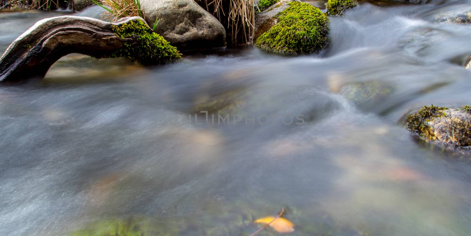 Water flowing smoothly down a stream.