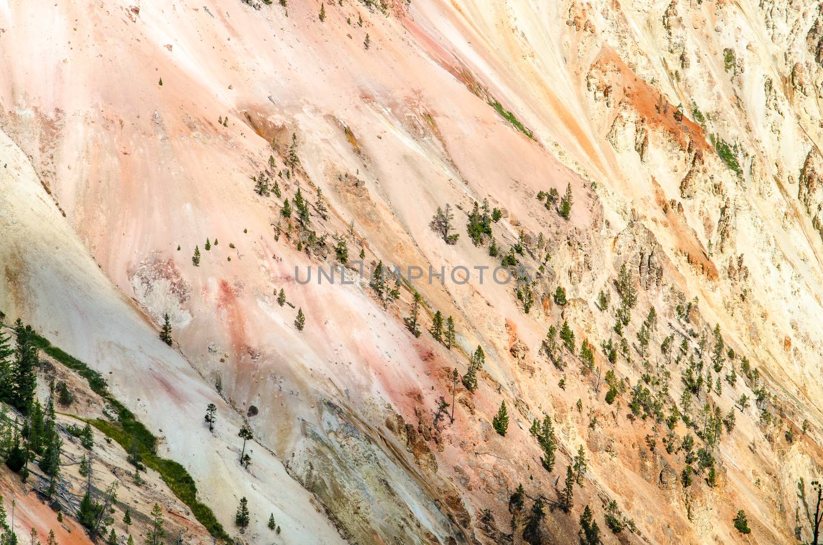 Detail scenic view at Grand Canyon of Yellowstone, Wyoming, USA