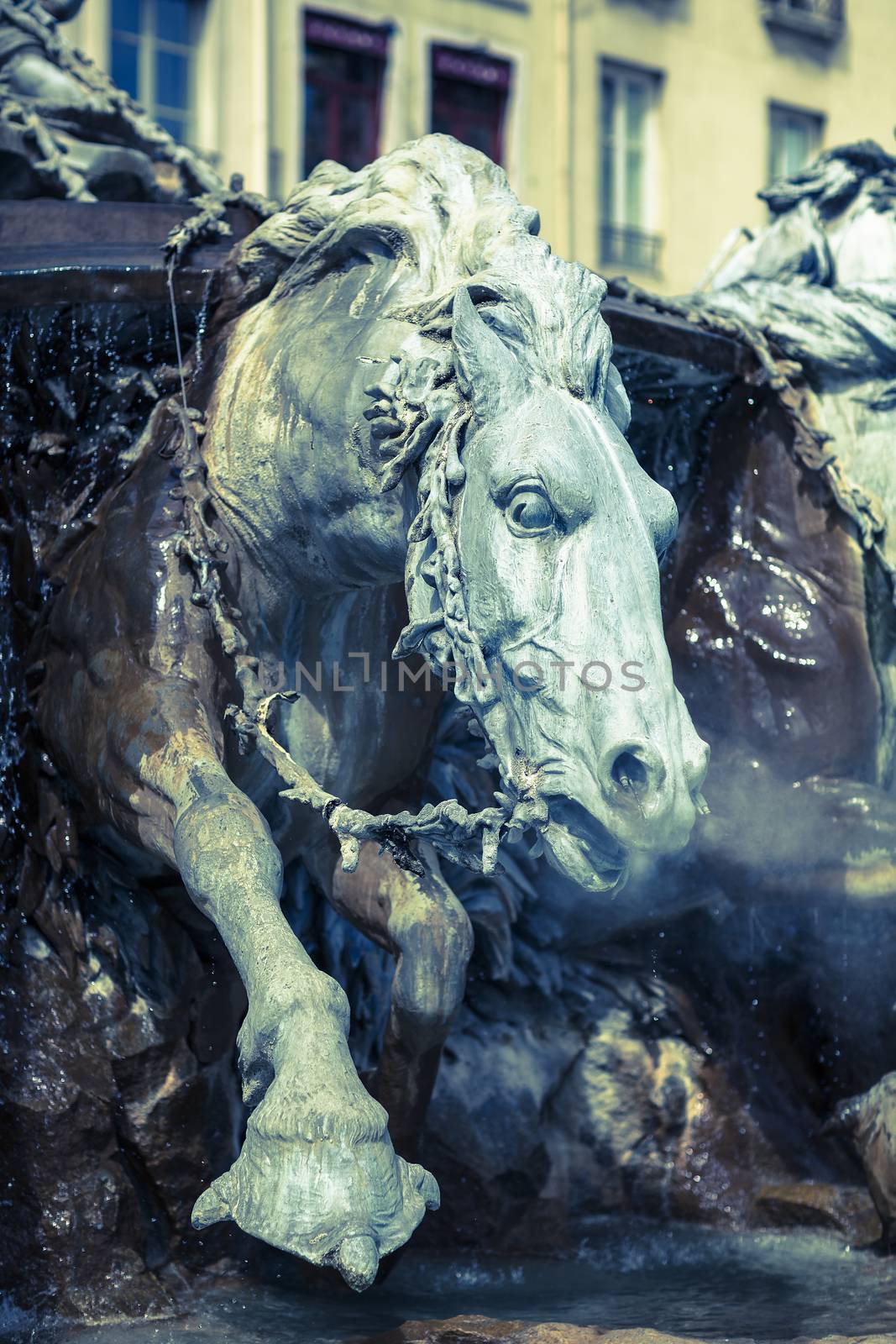 Horse of Bartholdi Fountain in Lyon by vwalakte