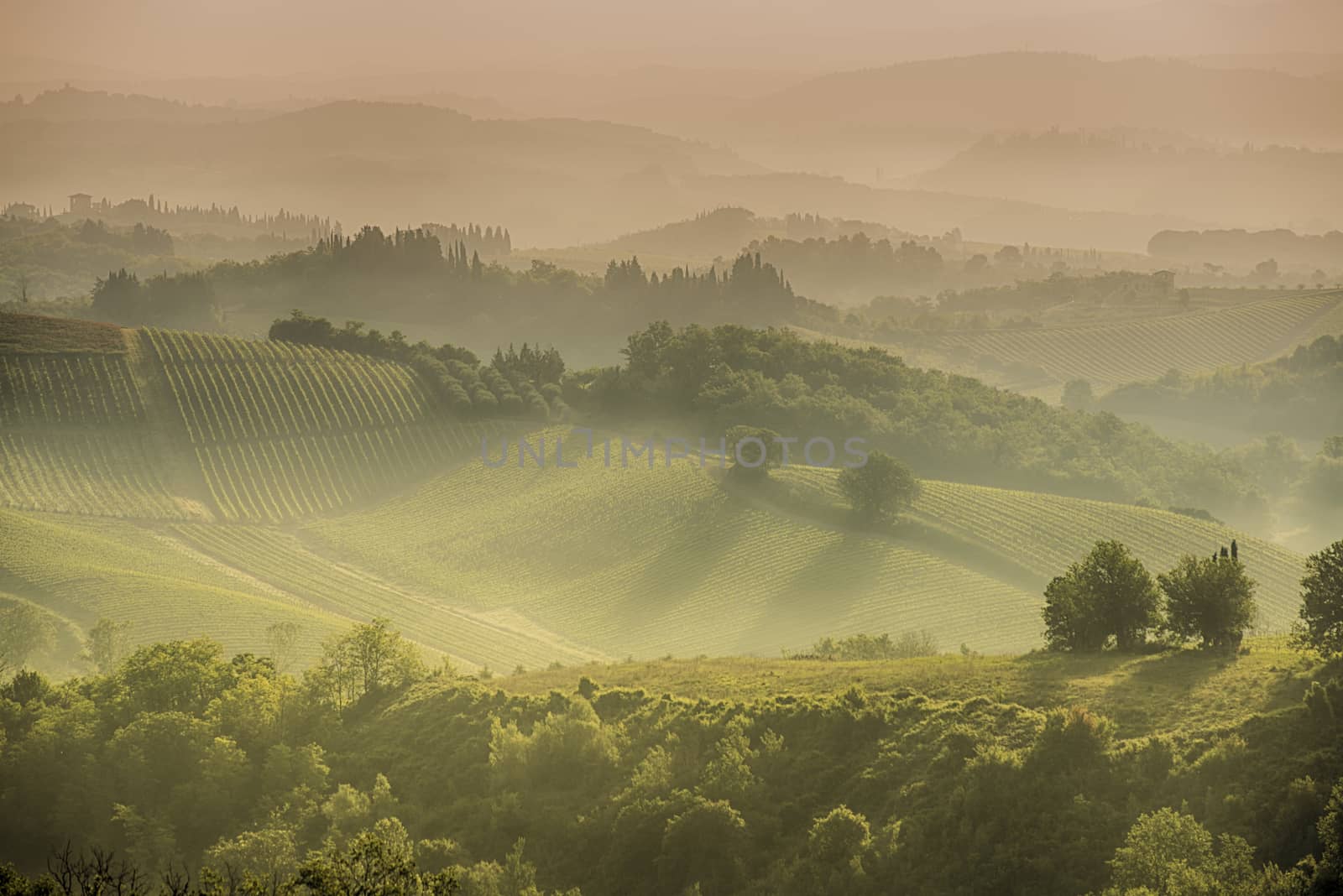 A brautiful misty sun rise over the tuscan hills around San Gimignano