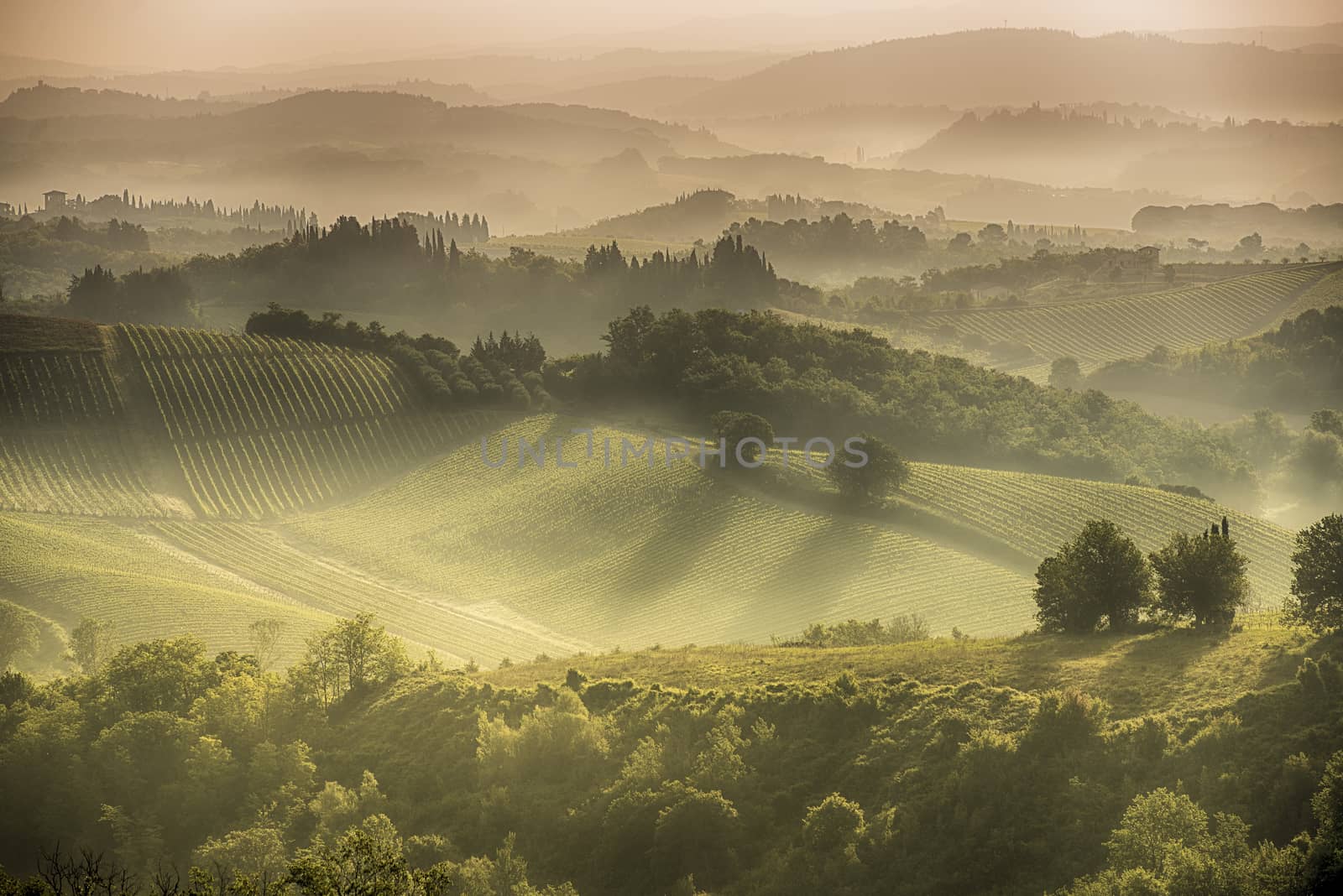A brautiful misty sun rise over the tuscan hills around San Gimignano