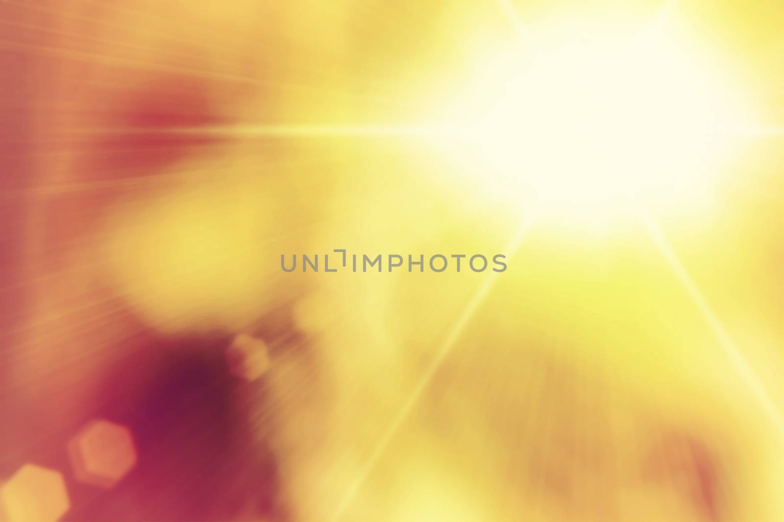spring natural bokeh background or backdrop with sun light