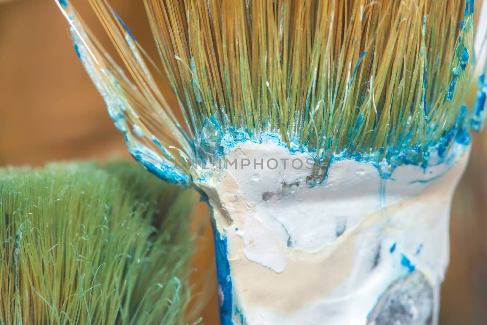 green brush closeup by Chechotkin