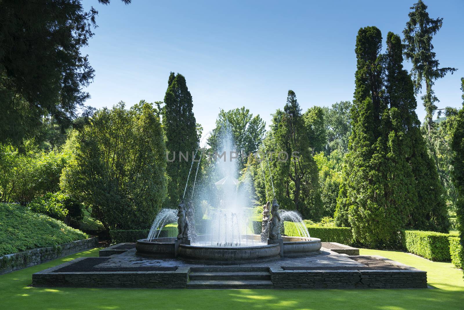 fountain and meadow in a park, spring season 