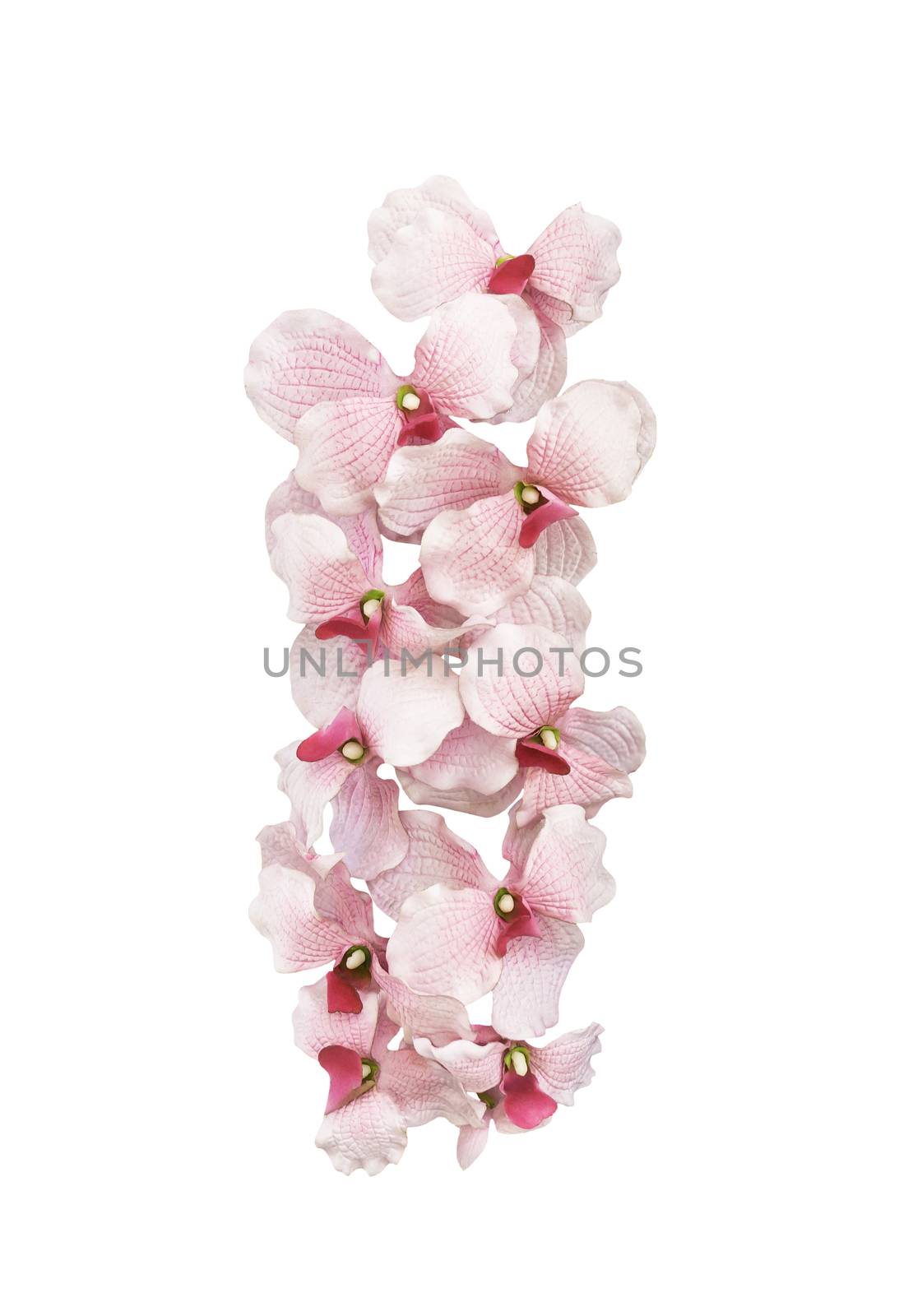 Artifical pink orchid flowers isolated on white background