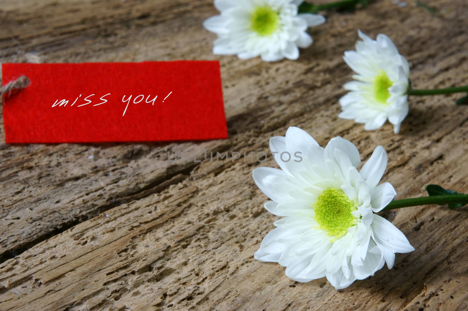 Love background with love you, miss you message, feeling when confession on abstract wooden background, can use on valentine day, mother day or celebrate love day