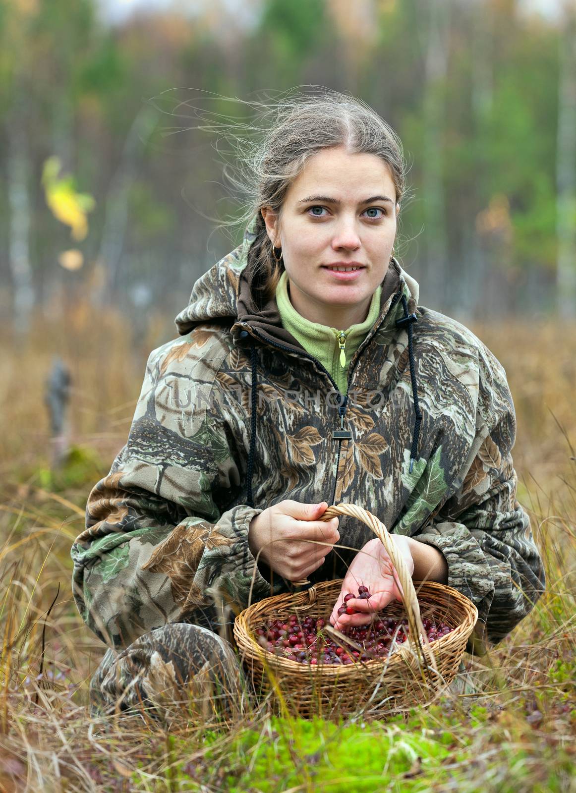 Young woman pick cranberry on a bog. by SURZ