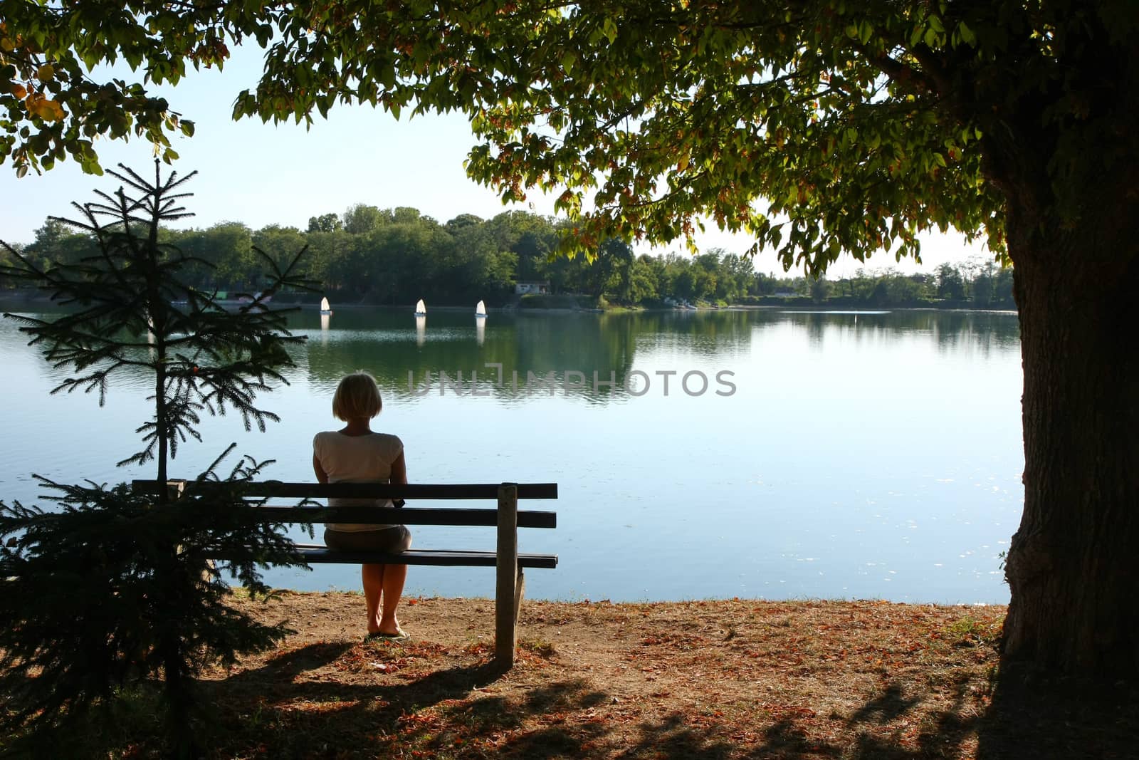 Lady relaxing on the bench ashore of lake