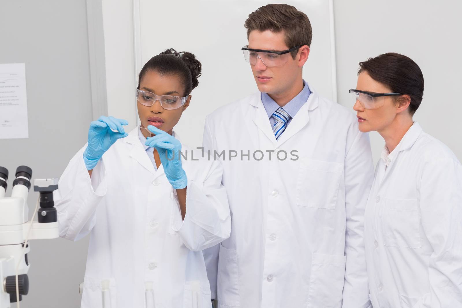 Scientists looking at experimentation in the laboratory 