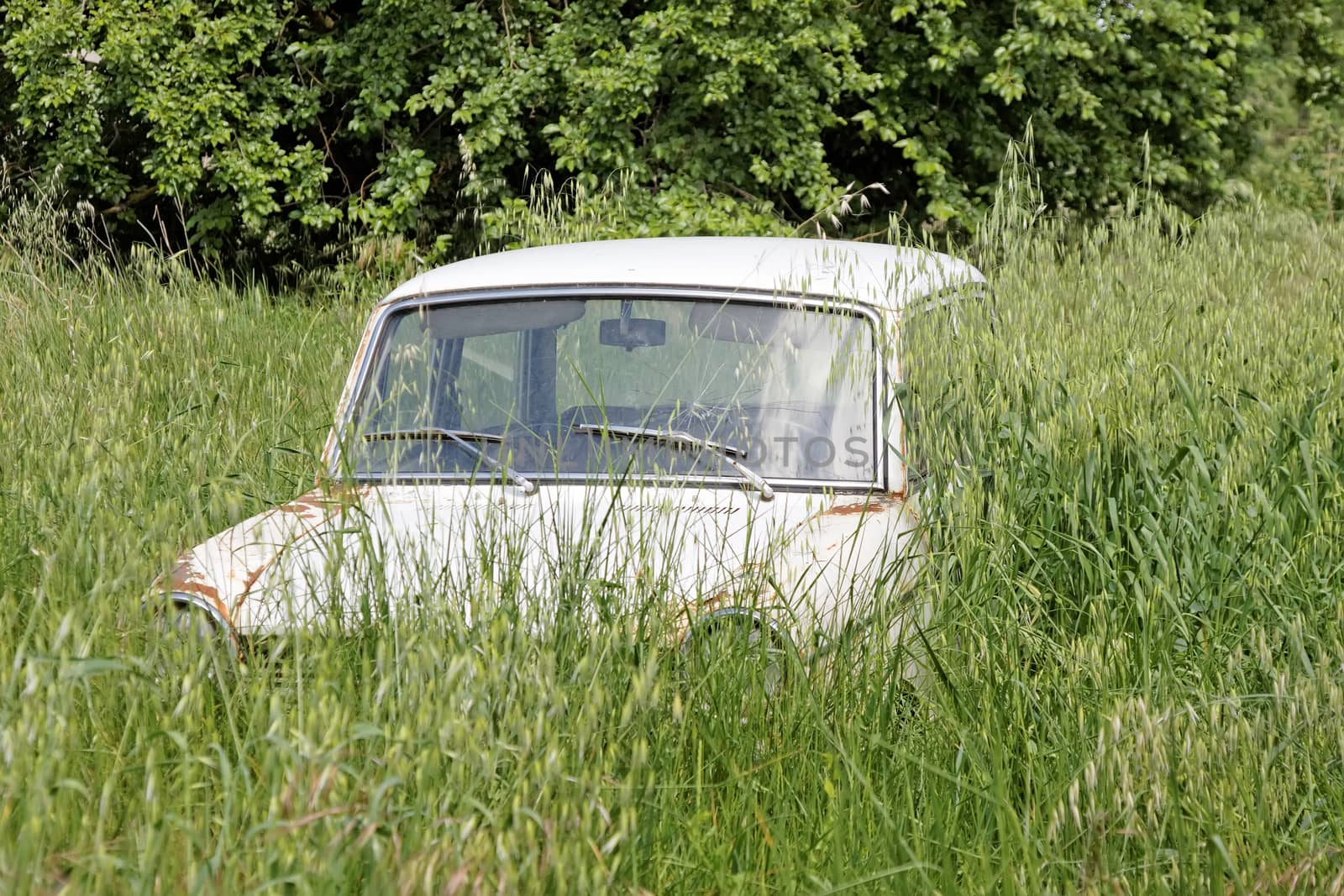 Abandoned old car  by sewer12