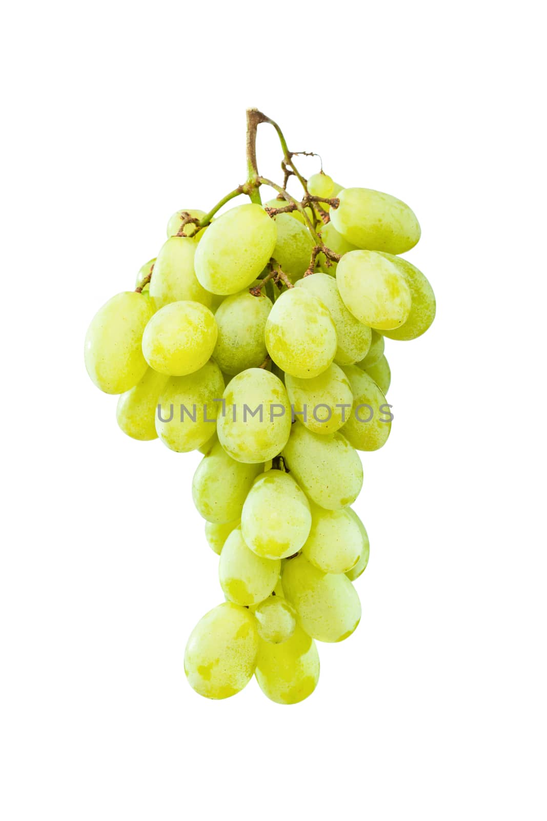 Fresh and ripe green grapes hanging against white background