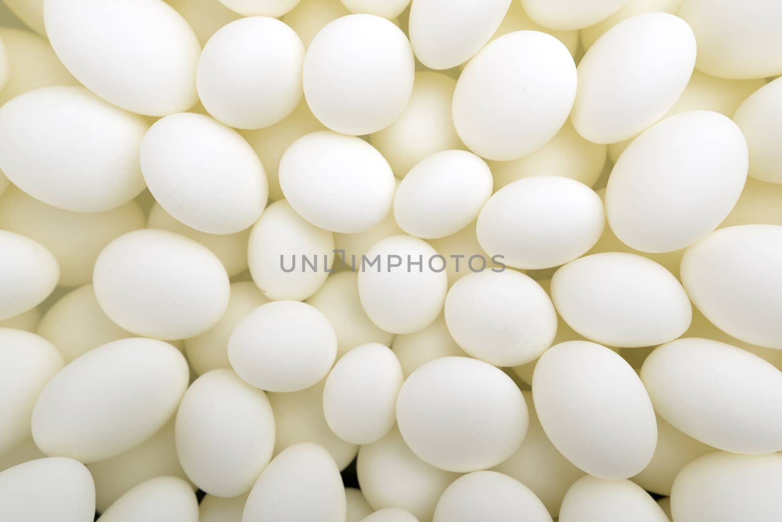 Close-up of scotland white candies with spearmint