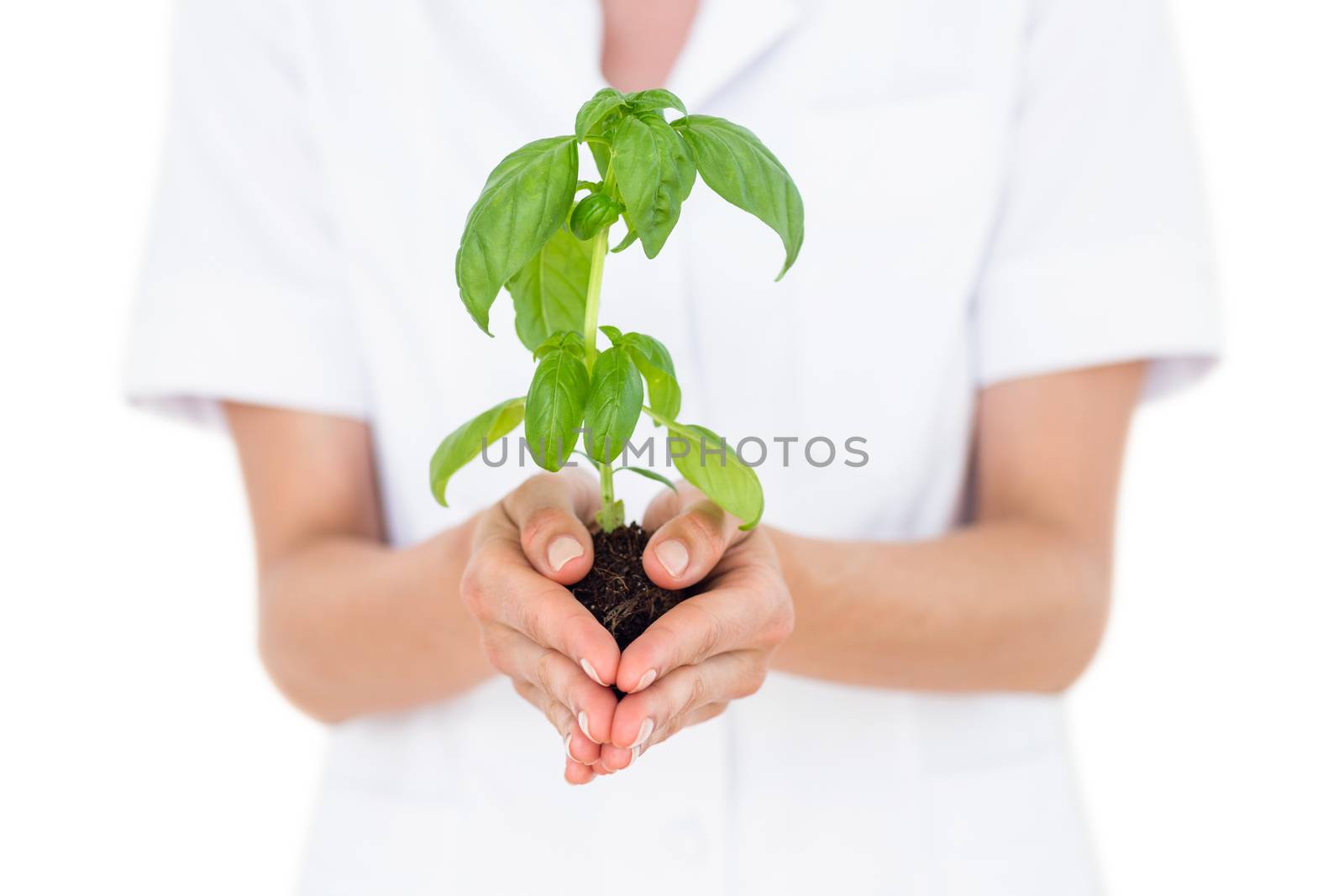 Scientist holding basil plant by Wavebreakmedia