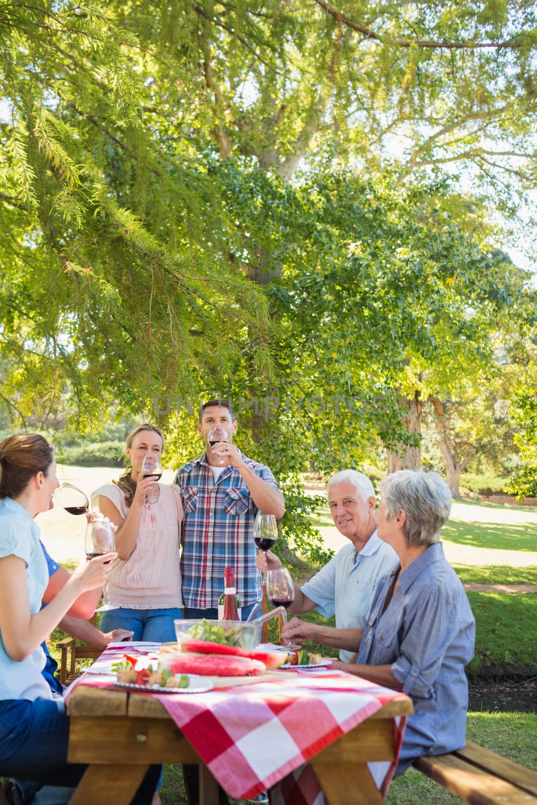 Happy couple toasting with their family on a sunny day