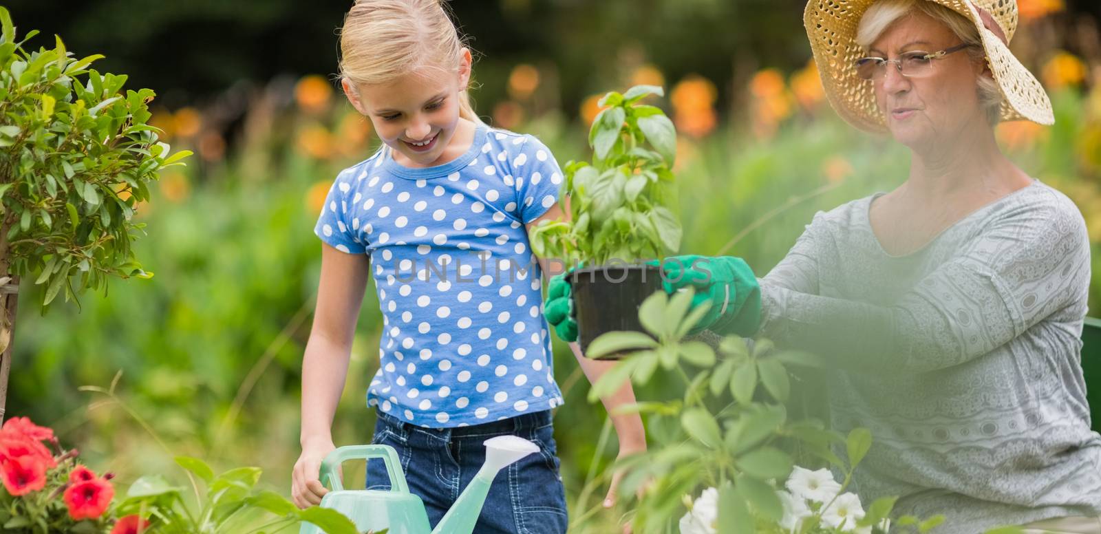 Happy grandmother with her granddaughter gardening by Wavebreakmedia