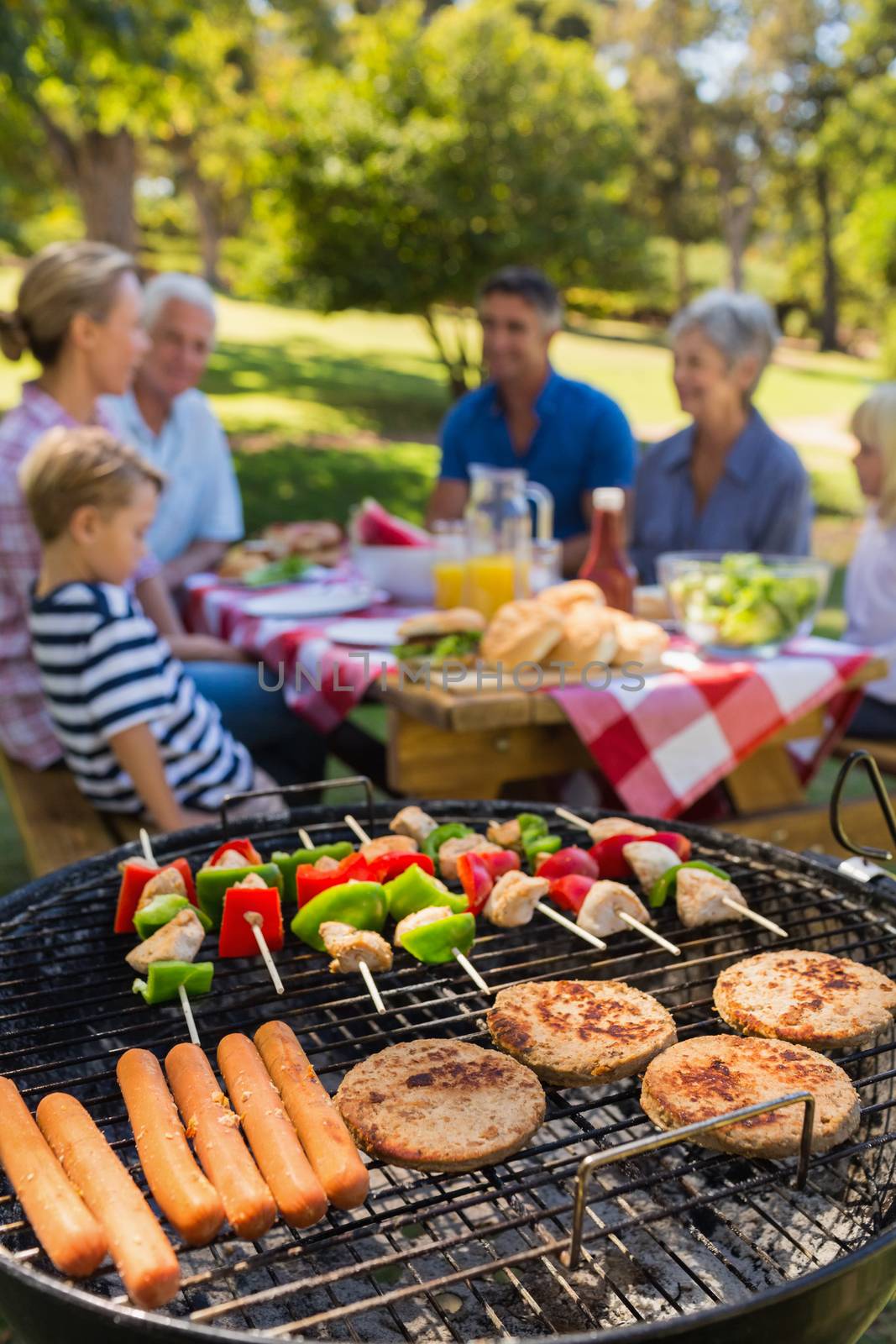 Family doing barbecue in the park by Wavebreakmedia